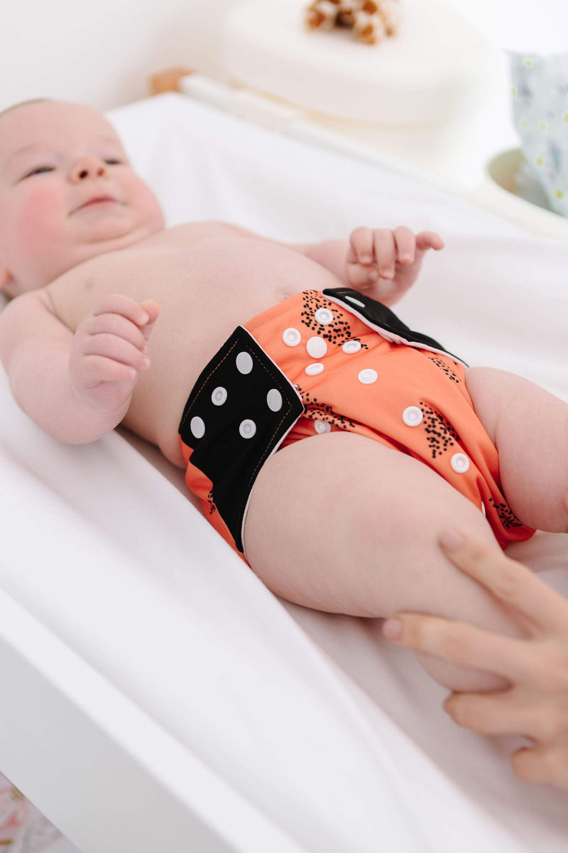 Reusable Modern Cloth Nappies