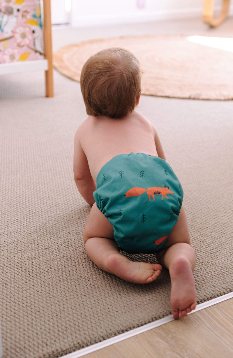 Reusable Modern Cloth Nappies